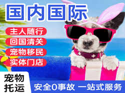 塔城千泉航空快运国际宠物托运 【国